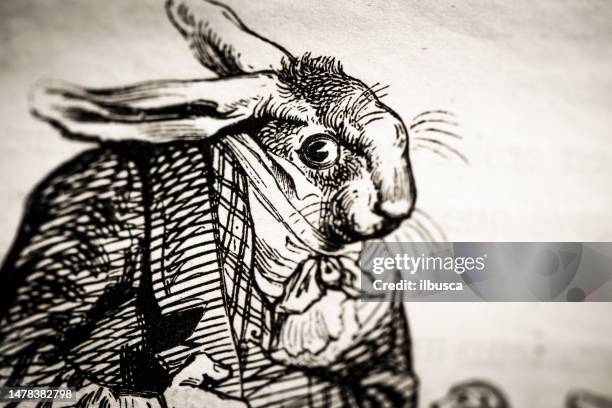 humanized animals illustrations: hare rabbit - hare isolated stock illustrations