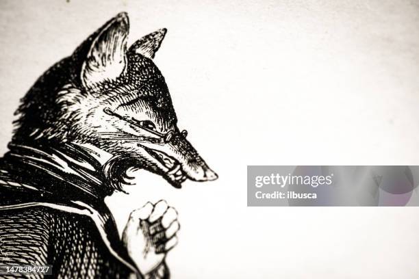 humanized animals illustrations: fox - allegory painting stock illustrations