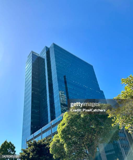 moderno rascacielos de cristal en la ciudad con árboles y vegetación debajo - cristal azul fotografías e imágenes de stock