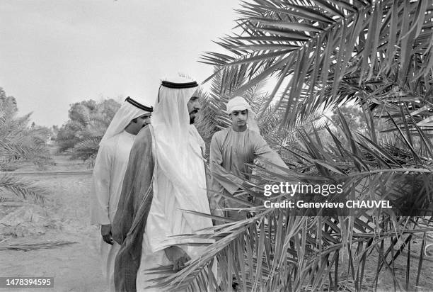 Sheikh Zayed Bin Sultan Al Nahyan, Emir of Abu Dhabi in his palace in Abu Dhabi.