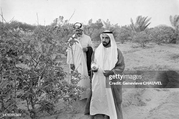 Abudhan Ruler 4,755 Abu Dhabi Ruler Stock Photos, High-Res Pictures, and Images ...