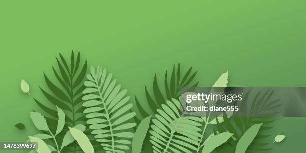 environment leaves and plants border on a bright background with copy space - leaf shadow stock illustrations