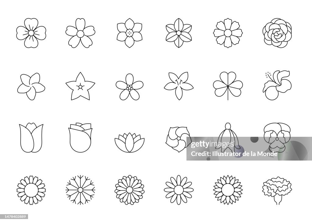 Flower Types Line Icons