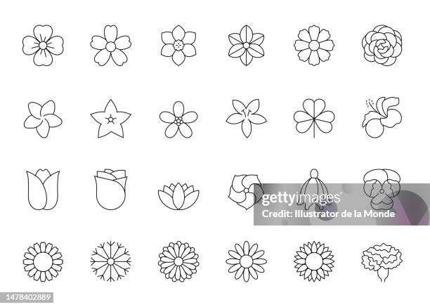 flower types line icons - cherry blossom icon stock illustrations