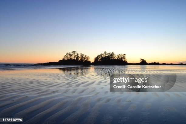 chesterman beach at vancouver island | canada - vancouver canada stock-fotos und bilder