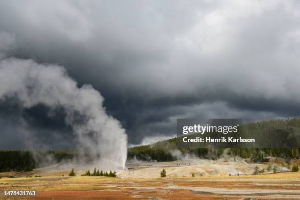 steam from volcanic activity rising over fountain flats, yellowstone national park - geysir stock-fotos und bilder