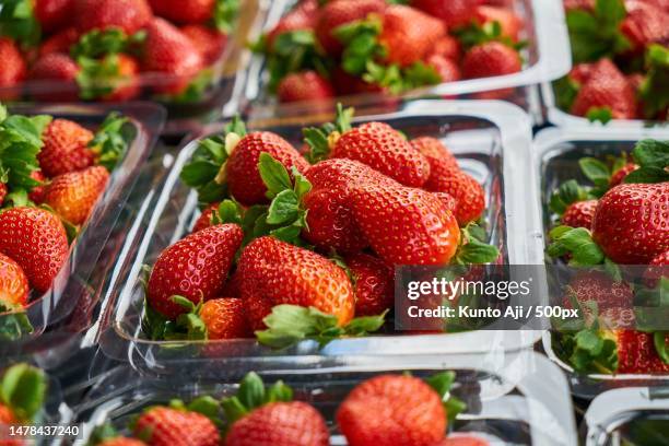 full frame shot of strawberries for sale in market,serbia - juicy strawberry stock pictures, royalty-free photos & images