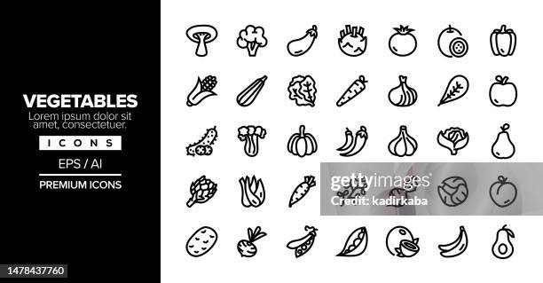 vegetables editable stroke line icon set series - lychee stock illustrations