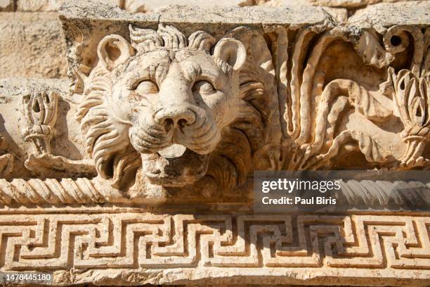 carved lion head water spout, temple of jupiter, baalbek roman temple complex - un animal stock pictures, royalty-free photos & images