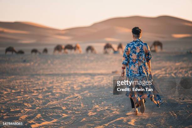 asian chinese solo female traveler walking in sahara desert in the morning - natural land state stock pictures, royalty-free photos & images