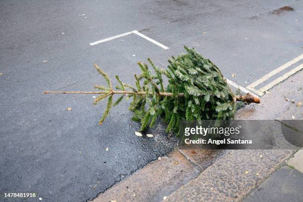 abandoned christmas tree on the city streets - christmas tree stock pictures, royalty-free photos & images