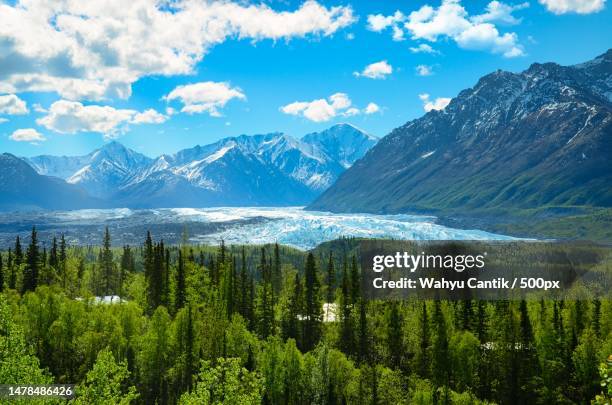 scenic view of pine trees and mountains against sky,akron,ohio,united states,usa - ohio stock pictures, royalty-free photos & images