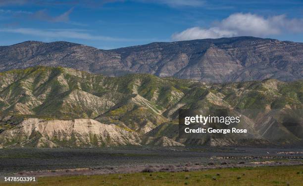 Following recent heavy rains, the hillsides and pastures are covered in a carpet of goldfields and other wildflowers, drawing thousands of visitors...