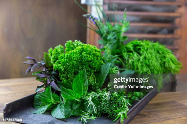 assorted fresh green culinary potherbs laid out on a tray - bouquet garni stock pictures, royalty-free photos & images