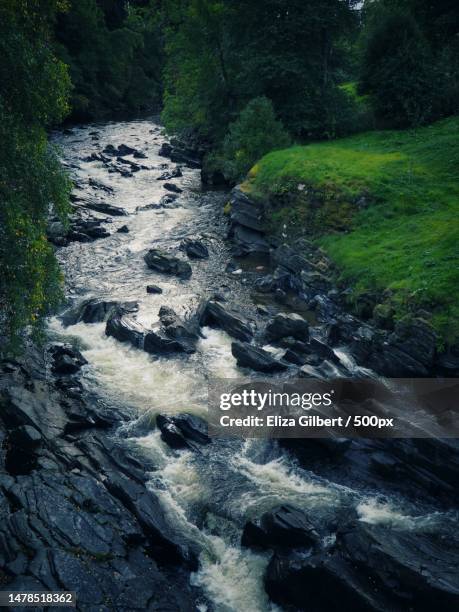 scenic view of stream flowing through rocks in forest,feshiebridge,kingussie,united kingdom,uk - kingussie stock pictures, royalty-free photos & images