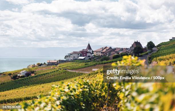 scenic view of sea against cloudy sky,romania - romania stock pictures, royalty-free photos & images