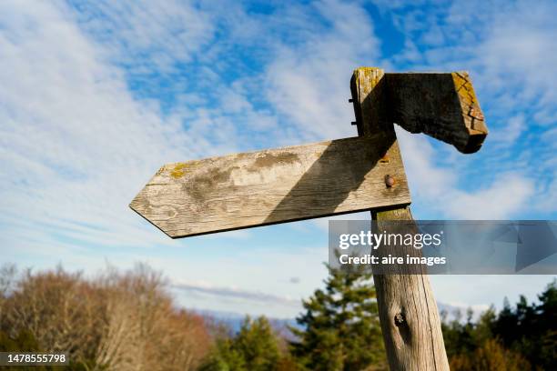 close-up of a directional sign post in a forest. tourism concept. - arrowwood 個照片及圖片檔