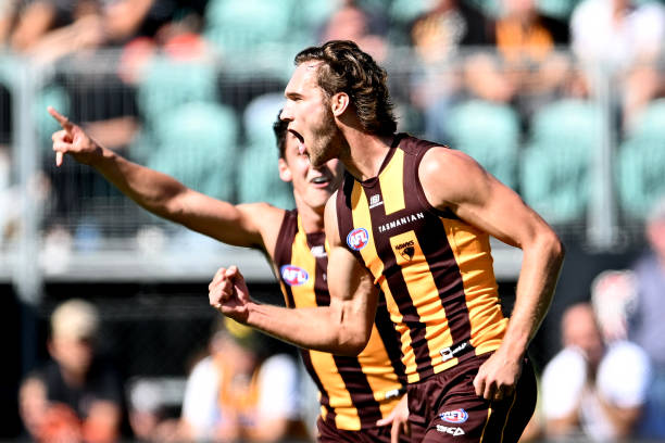 Jack Scimshaw of the Hawks celebrates a goal during the round three AFL match between Hawthorn Hawks and North Melbourne Kangaroos at University of...