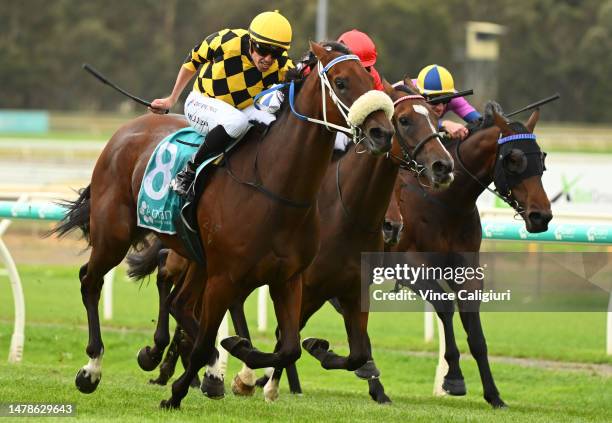 Billy Egan riding Waltz On By winning Race 7, the Victorian Equine Group Bendigo Guineas, during Melbourne Racing at Bendigo Racecourse on April 01,...