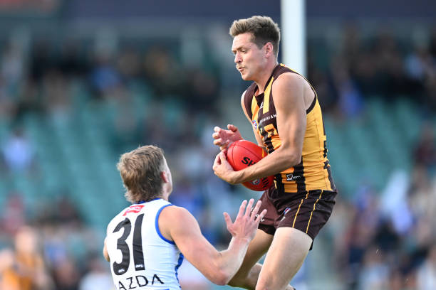 Fergus Greene of the Hawks takes a mark during the round three AFL match between Hawthorn Hawks and North Melbourne Kangaroos at University of...