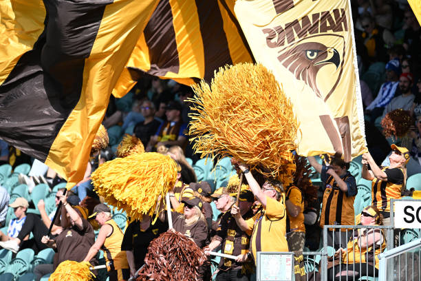 Hawks fans celebrate during the round three AFL match between Hawthorn Hawks and North Melbourne Kangaroos at University of Tasmania Stadium, on...