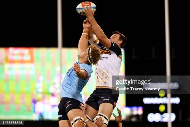 Nicholas Frost Rugby 36,828 Canberra Stadium Photos Stock Photos, High-Res Pictures, and ...