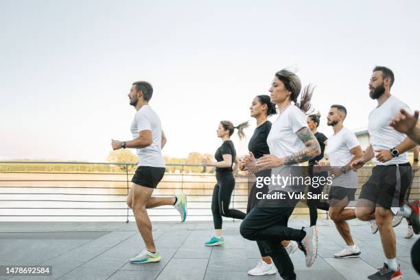 runners preparing for half-marathon - road running stock pictures, royalty-free photos & images