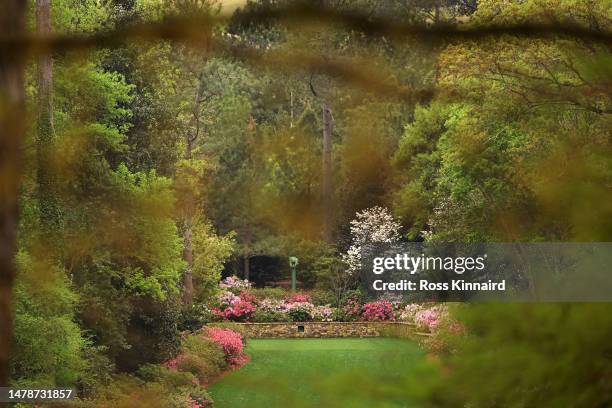 General view of the new 13th tee box during the final round of the Augusta National Women's Amateur at Augusta National Golf Club on April 01, 2023...