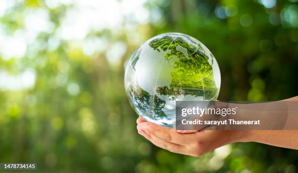 concept save the world save environment the world is in the grass of the green bokeh background - world hands stock pictures, royalty-free photos & images