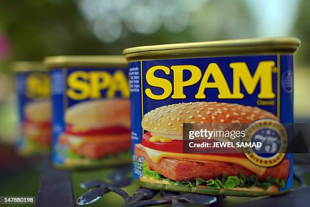 Cans of Spam meat made by the Hormel Foods Corporation are pictured in Silver Spring, Maryland, on July 5, 2012. Hormel’s famous canned meat, which...