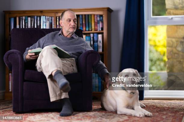 senior man reading in natural light - shaved dog stock pictures, royalty-free photos & images