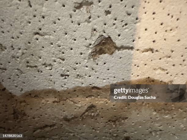 flood damage from high water basement damp mold - flood preparation stock pictures, royalty-free photos & images