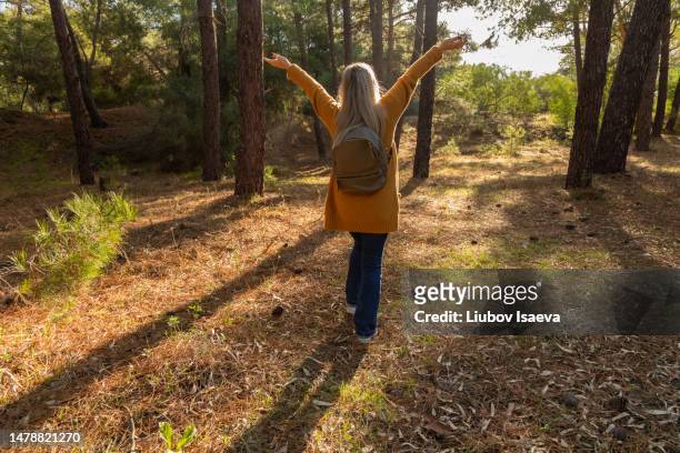 a mature woman (50-55 years) is walking in woodland and enjoying sunlight with outstretched arms - 50 54 years stockfoto's en -beelden
