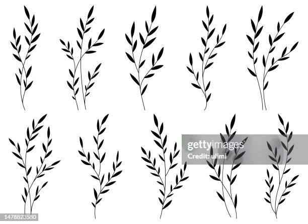 branches with leaves - twig stock illustrations