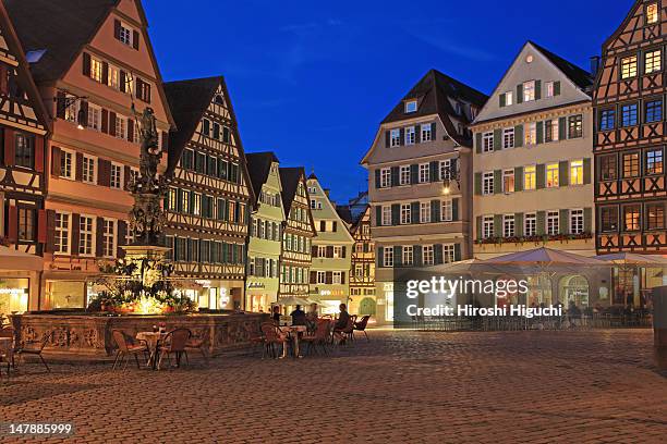 germany, tübingen - tübingen stock pictures, royalty-free photos & images