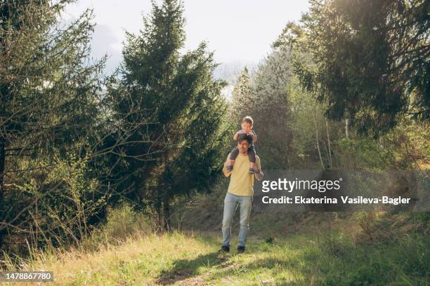 dad carries a baby on his neck in a sunny spruce forest - kid sitting stock pictures, royalty-free photos & images
