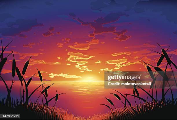 ilustrações, clipart, desenhos animados e ícones de à beira do lago ao pôr-do-sol - sunset