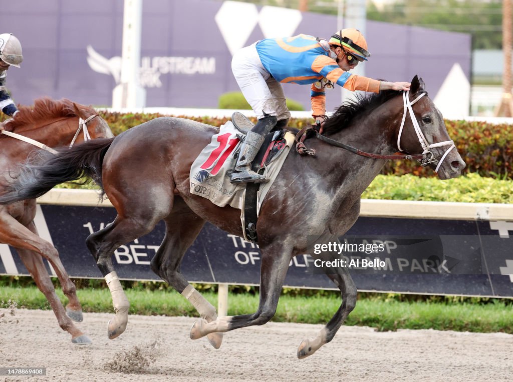 Florida Derby 2024 Gulfstream Elsie Idaline Florida Derby 2024 Gulfstream Elsie Idaline