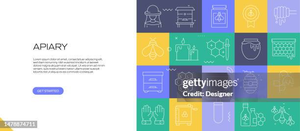 apiary web banner with linear icons, trendy linear style vector - worker bee stock illustrations