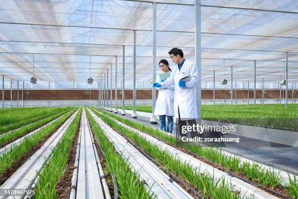 two asian researcher walking examining at smart greenhouse - smart agriculture stock pictures, royalty-free photos & images