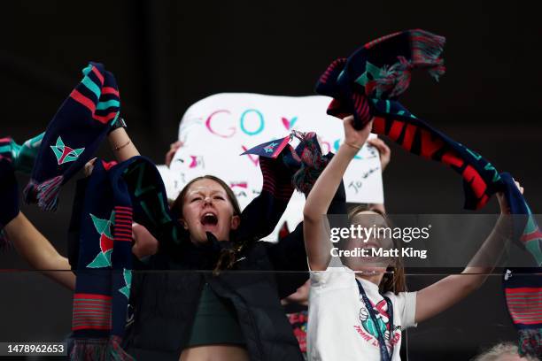 Vixens fans show support during the round three Super Netball match between Melbourne Vixens and Giants Netball at John Cain Arena, on April 02 in...