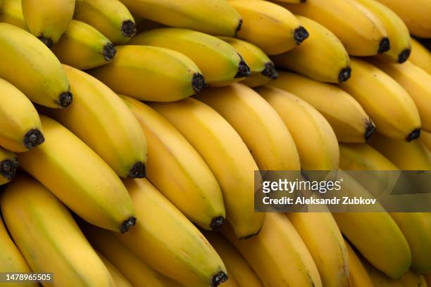 ripe yellow bananas at the shopping market. fruits that are good for health. the concept of vegetarianism, veganism and raw food. vegetarian, vegan and raw food and diet. food background, bright color. retail sale of seasonal products. - rijp stockfoto's en -beelden