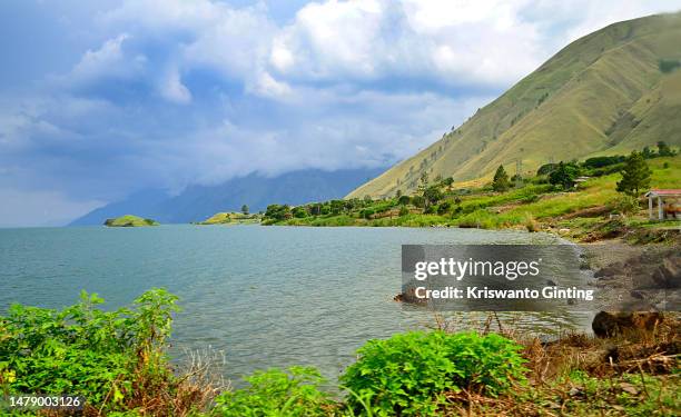 the beauty of the coast of lake toba - lake toba sumatra stock pictures, royalty-free photos & images