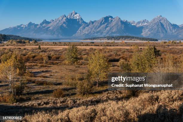 grand tetons range during sunrise - oxbow bend stock pictures, royalty-free photos & images