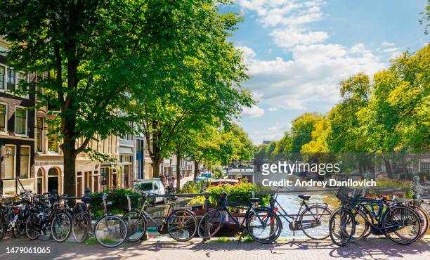 bridge over an amsterdam canal in a sunny day with clear sky. - amsterdam bildbanksfoton och bilder