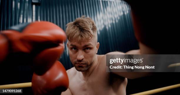 171 Boxing Pov Stock Photos High Res Pictures And Images Getty Images 171 Boxing Pov Stock Photos High Res Pictures And Images Getty Images