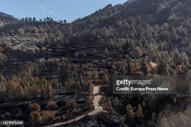 Residents return to their homes after the Castellon forest fire, on 02 April, 2023 in Monton, Castellon, Community of Valencia, Spain. The fire...