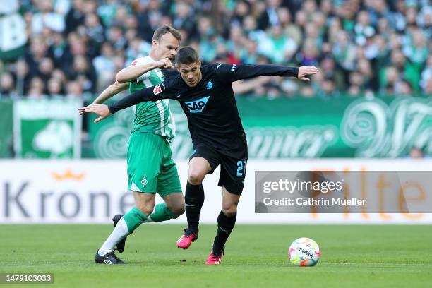 Christian Gross of SV Werder Bremen challenges Andrej Kramaric of TSG Hoffenheim during the Bundesliga match between SV Werder Bremen and TSG...
