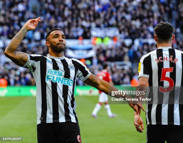 Callum Wilson of Newcastle United celebrates after scoring Newcastles second goal during the Premier League match between Newcastle United and...