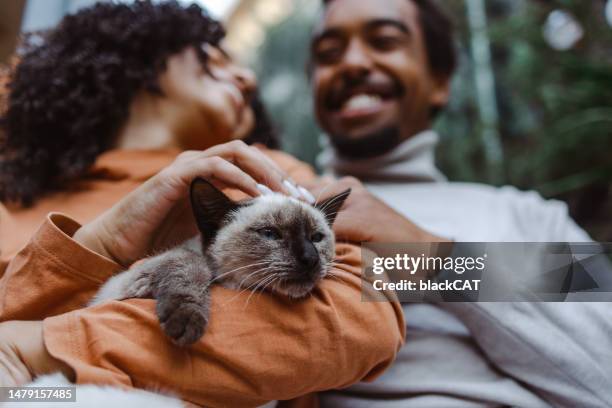 shot of a happy young couple enjoying a cuddle with their cat - black siamese cat stock pictures, royalty-free photos & images